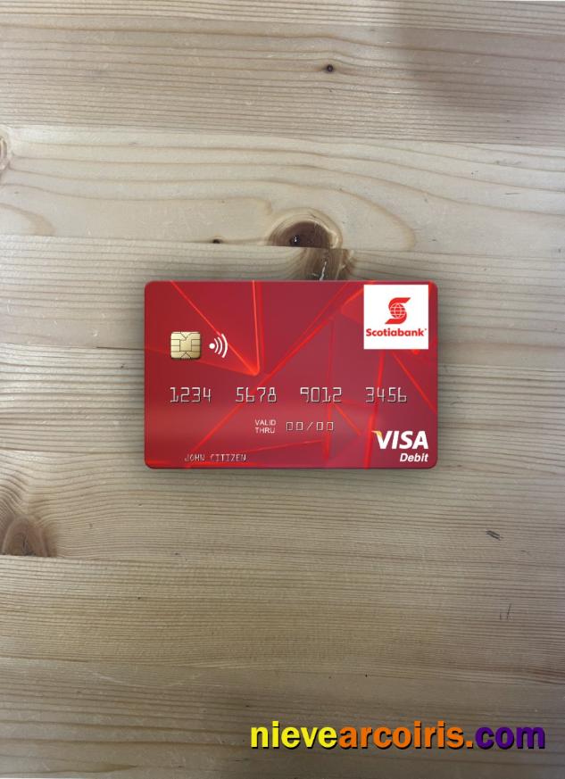 Saint Vincent and the Grenadines Bank of Nova Scotia visa debit card photolook